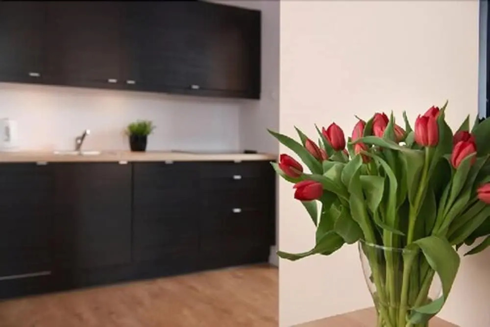 Staywin Aura Gdańsk I