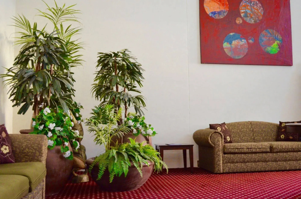 Canberra Short Term & Holiday Accommodation