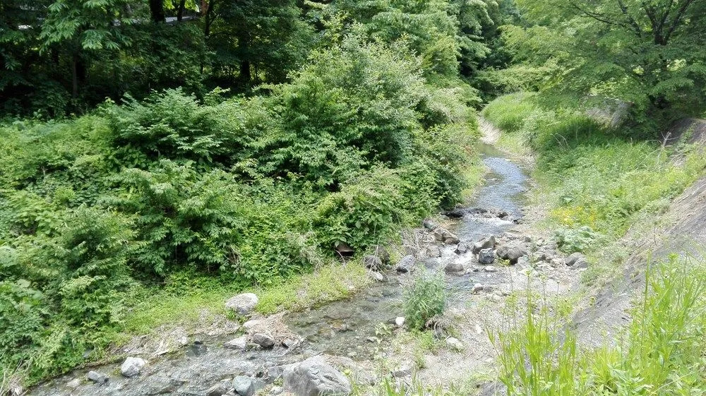 Pension Ookinaki