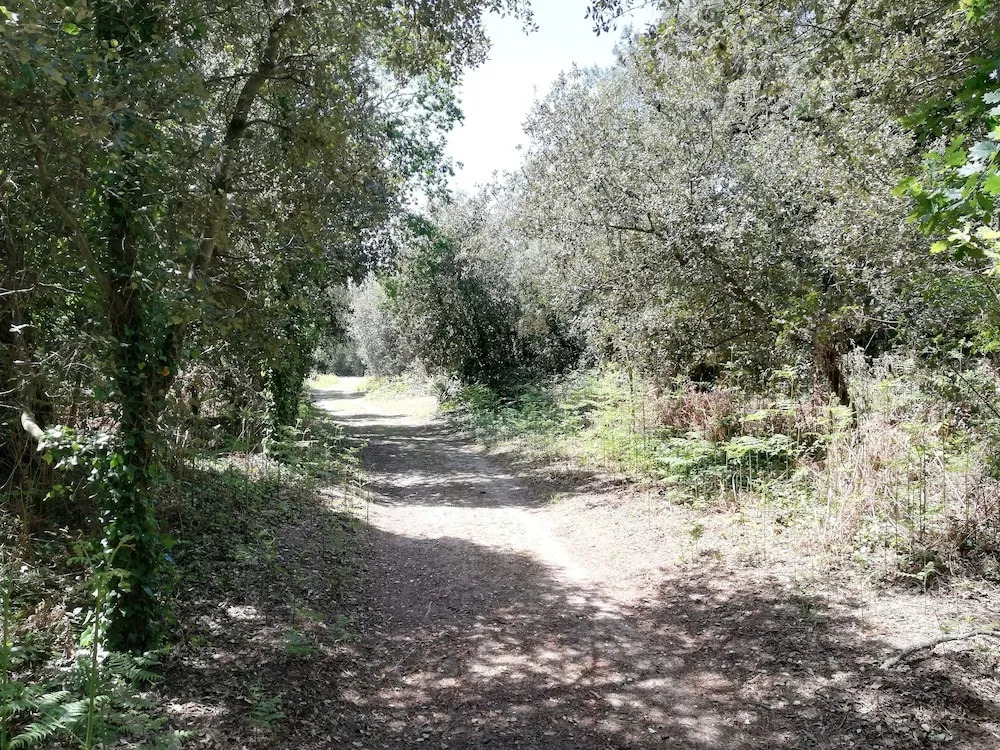 Le Clos des Pins