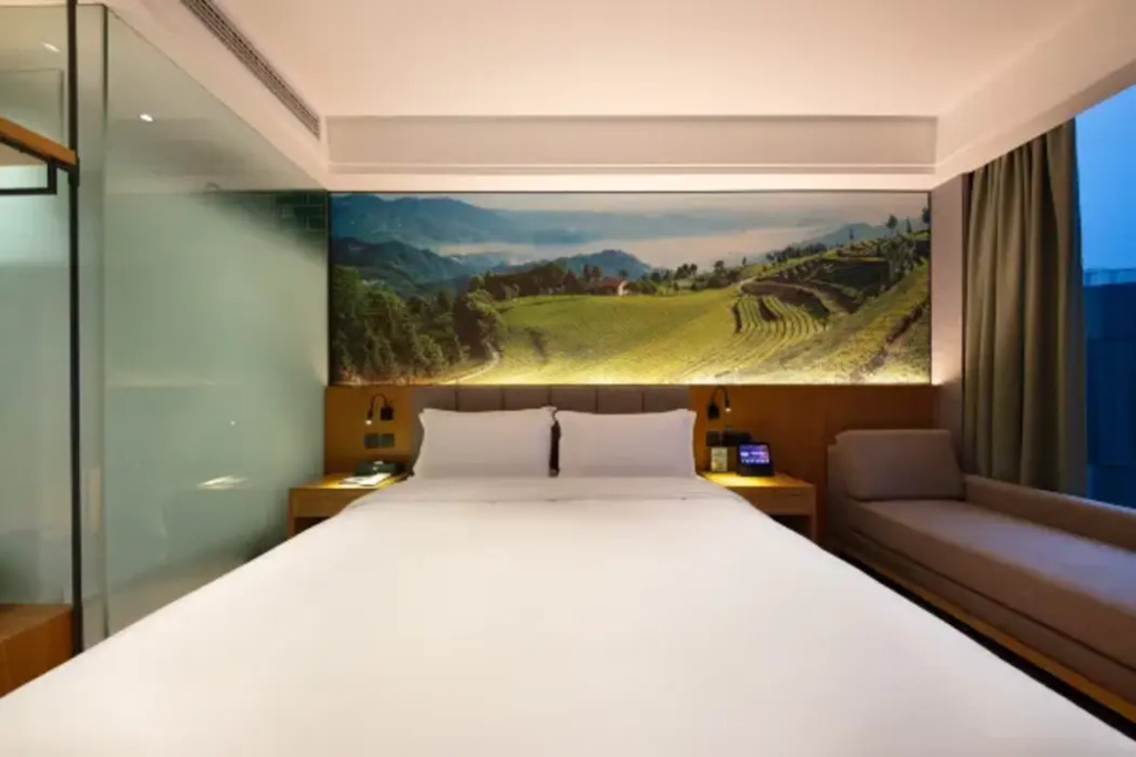 True Go Hotel (Chongqing Jiangbeizui)