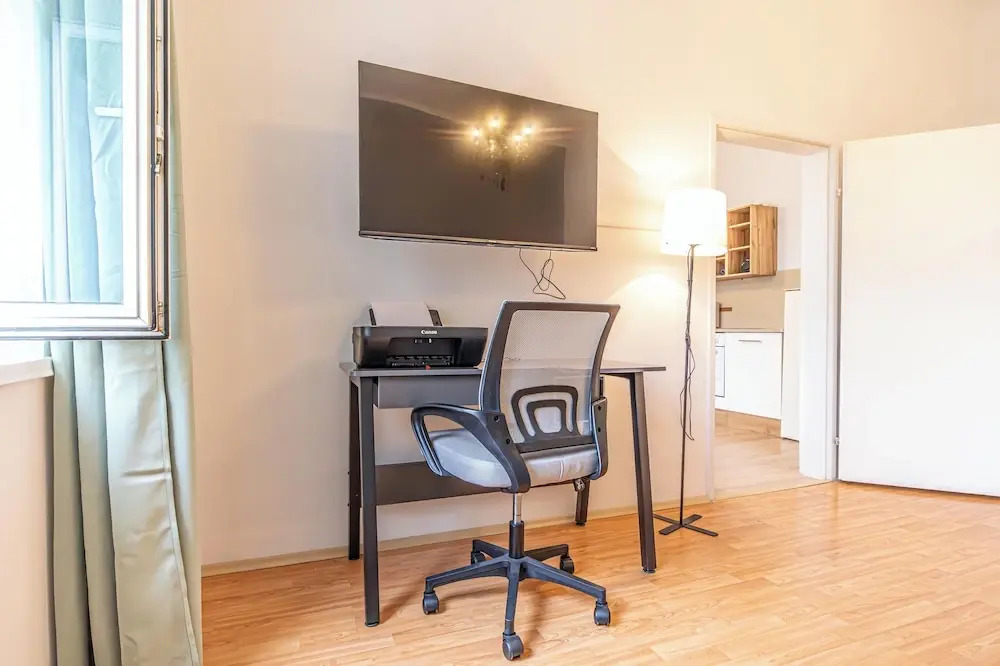 Luxury Flat with Access to Danube