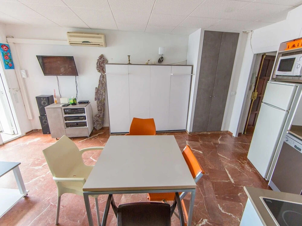 Palmeras 2.10