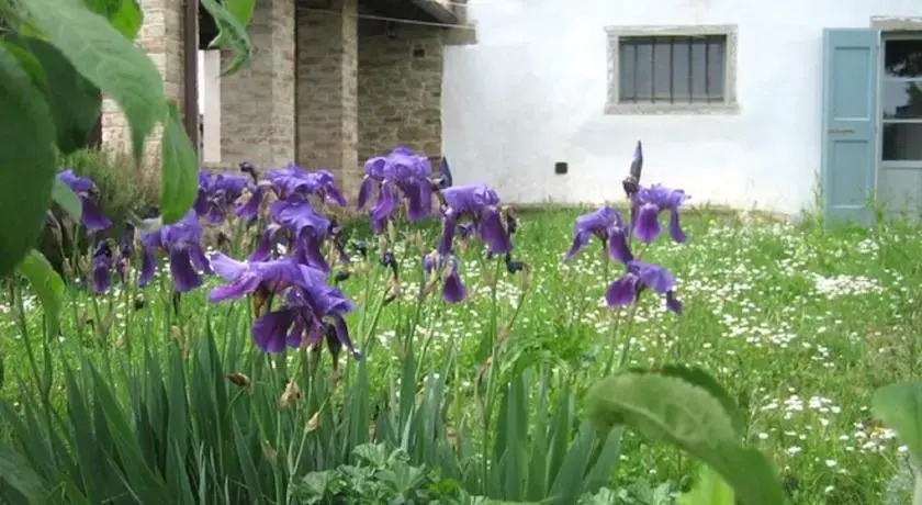 Casale Lo spigo