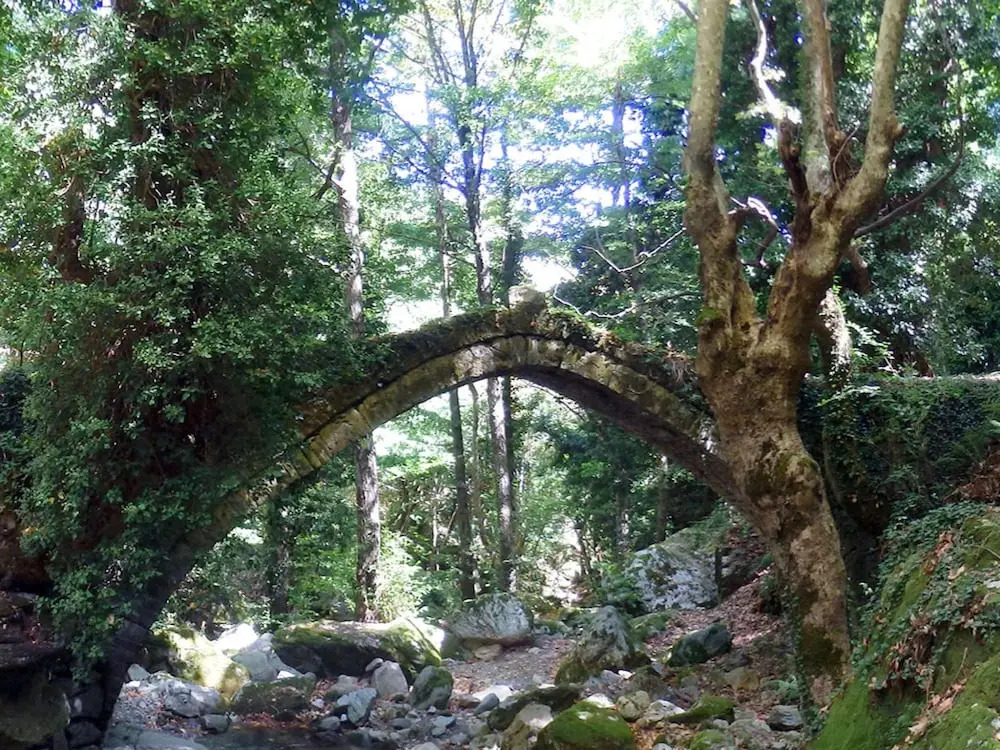 Villa Zina Studio 4 Pelion