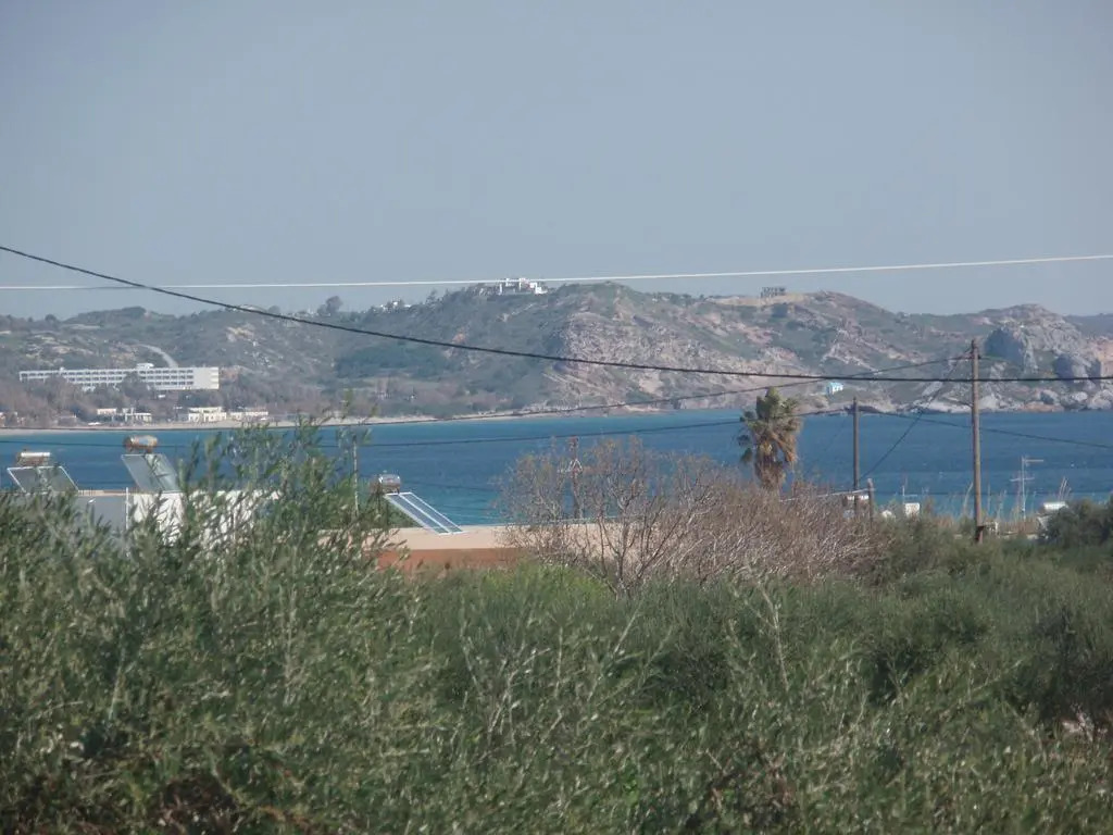 Kalonisa