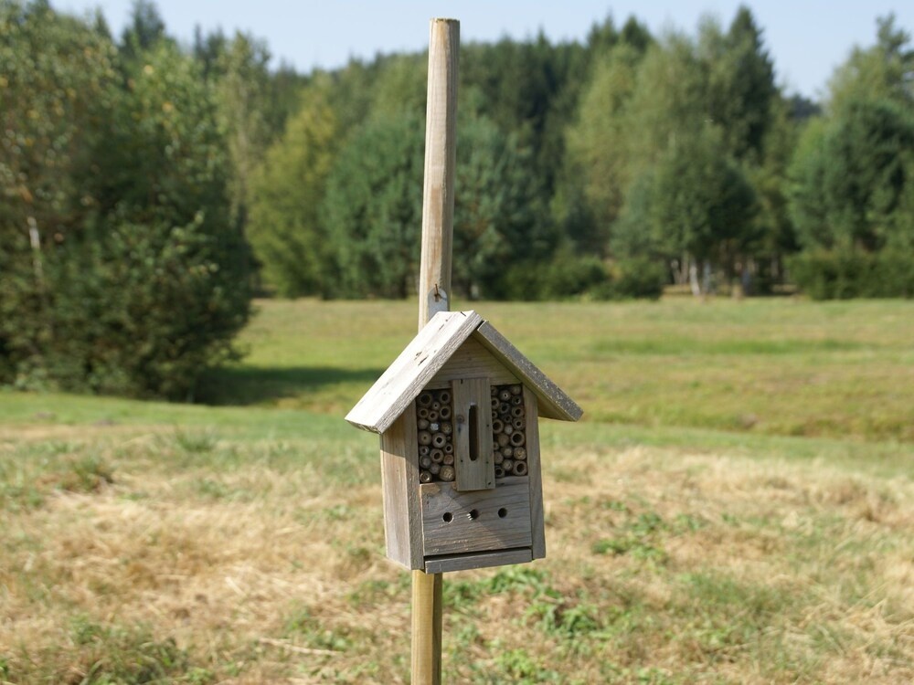 Family Escape With Garden