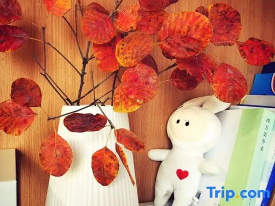 Beijing Banquan Zhiye Tingyu Homestay