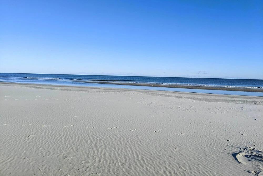 1 Mi to Beach: Family-friendly Evian Resort Condo!