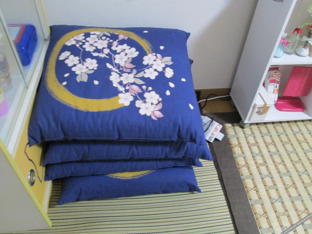 Tokyo-202 Fujimi House / Vacation Stay 3818