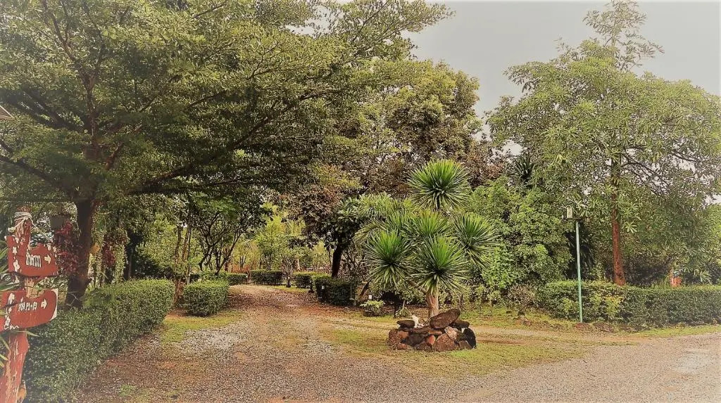 EiDI Homestay