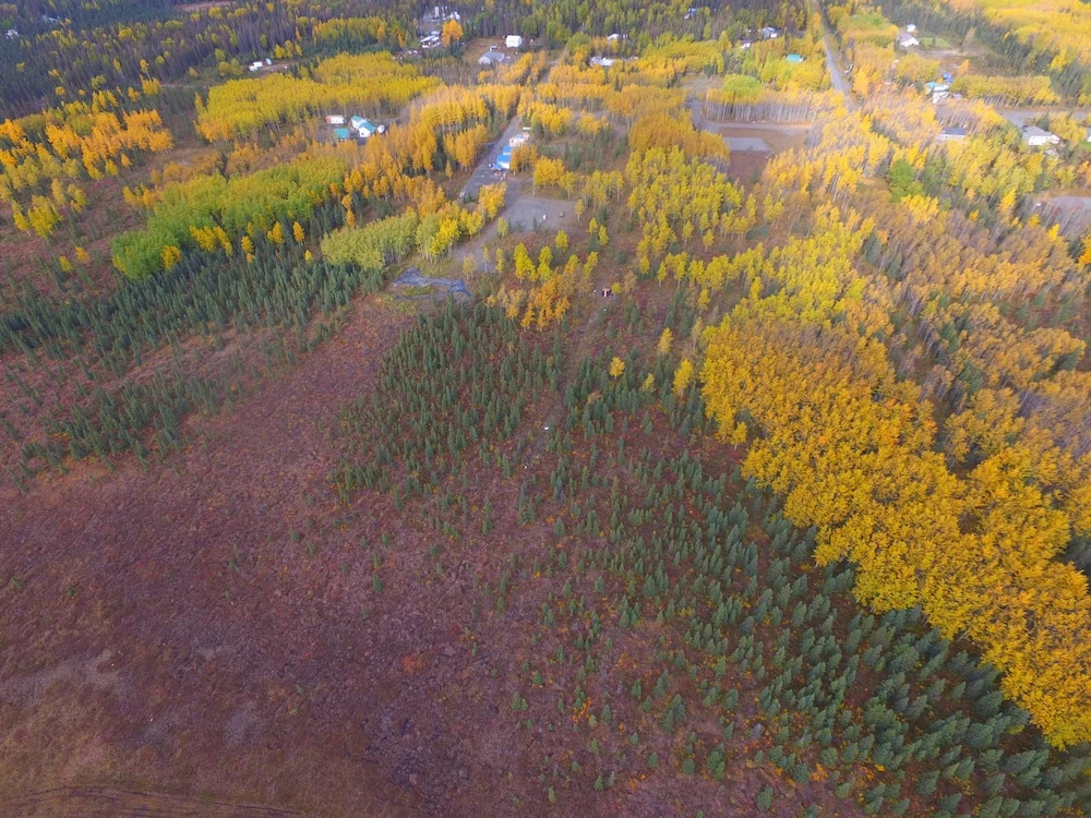 Bella Haven Estates