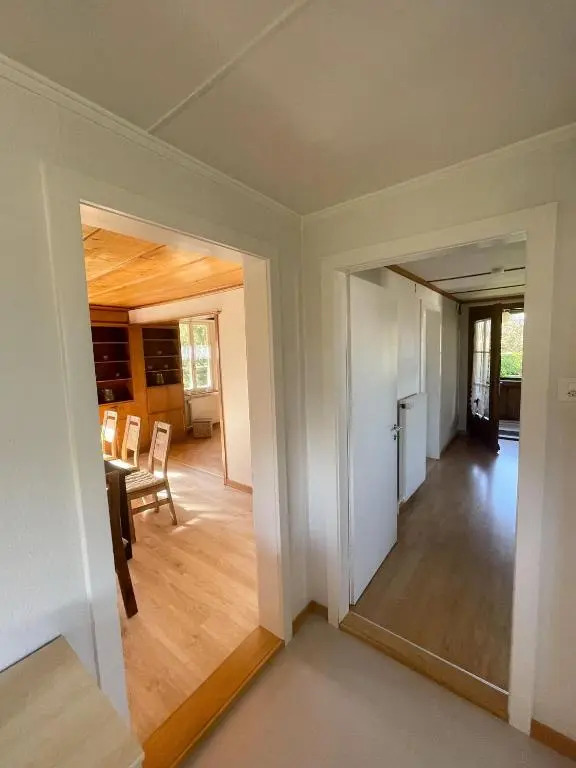 NEB-THUN LODGE`s Seehaus 1 Gwatt