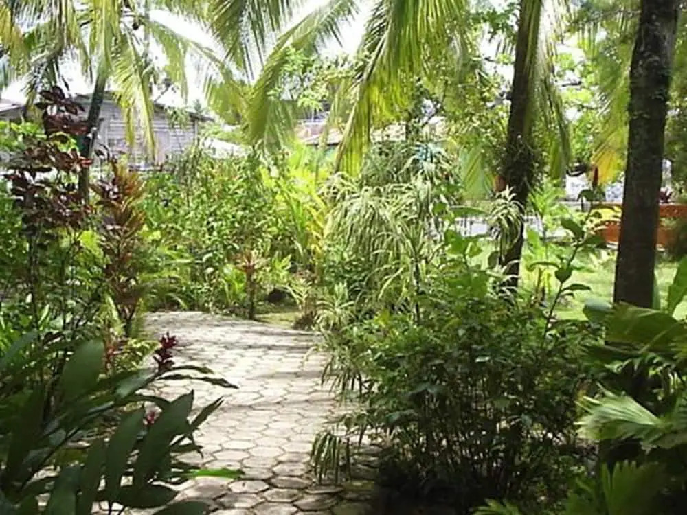 Bocas Inn