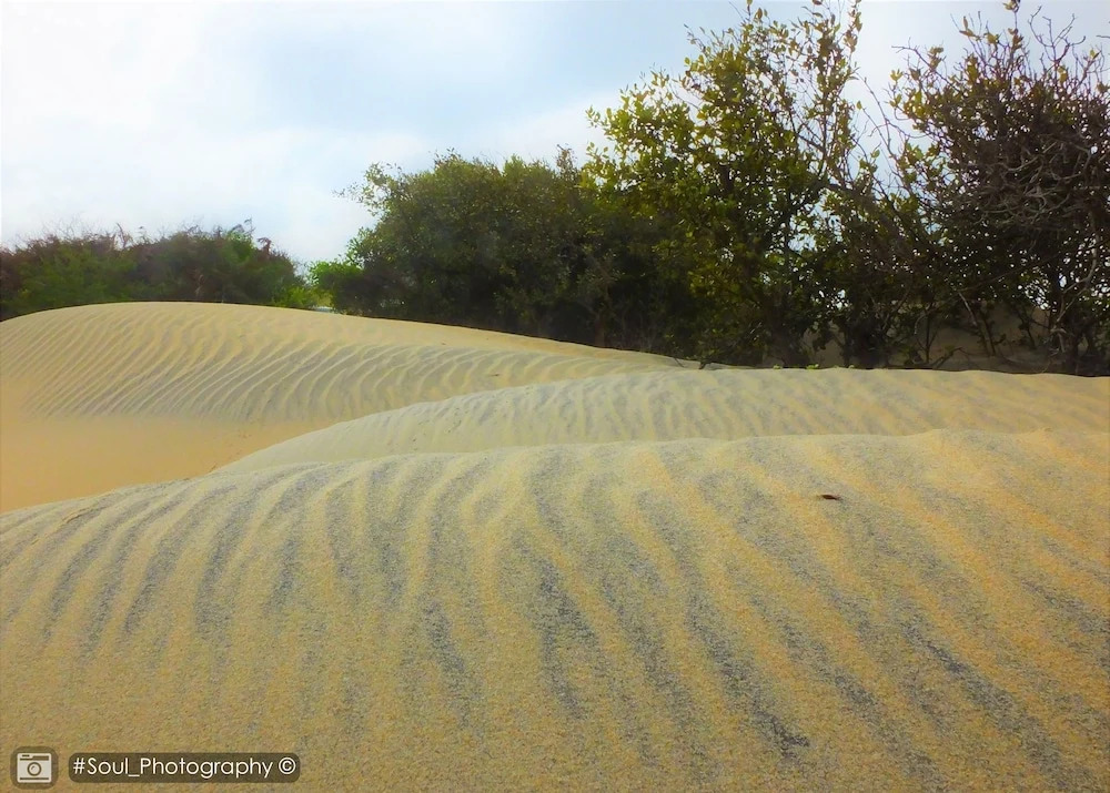 Sands Kalpitiya By GLN