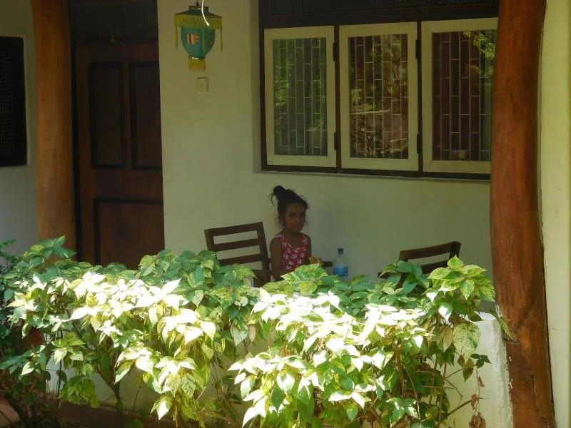 Habarana INN