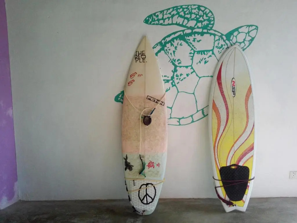 Turtle Eco Beach