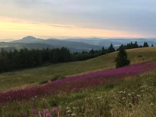 Jagdhaus in der Rhön in völliger Alleinlage