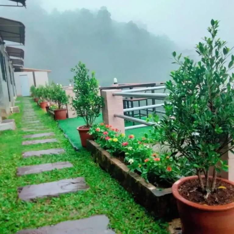 ม่อนหนาว ลานกางเต็นท์