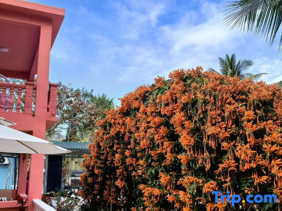 Haishu Yuntian · Seaside Pool Resort (Near Nanshan Temple & Guanyin of the South Sea)