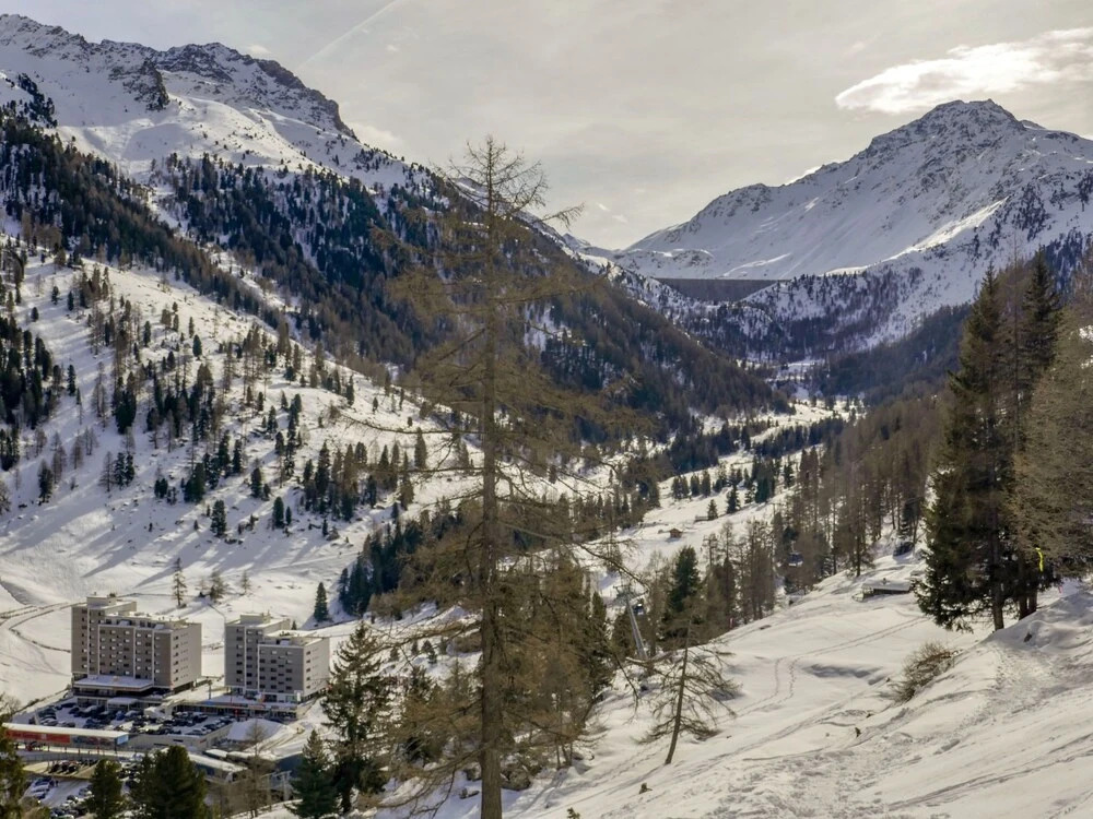 Rosablanche D 204 A Siviez Nendaz