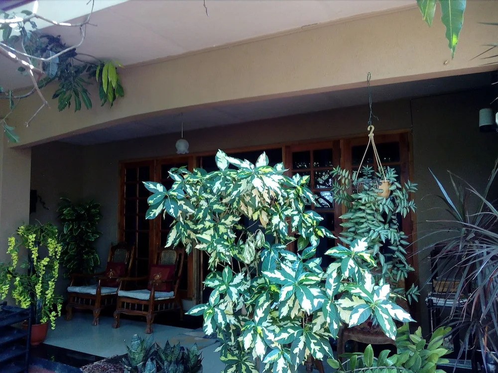 House Of Esanya