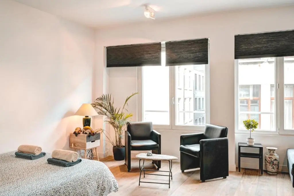 Light Modern Apartment in the Heart of Antwerp