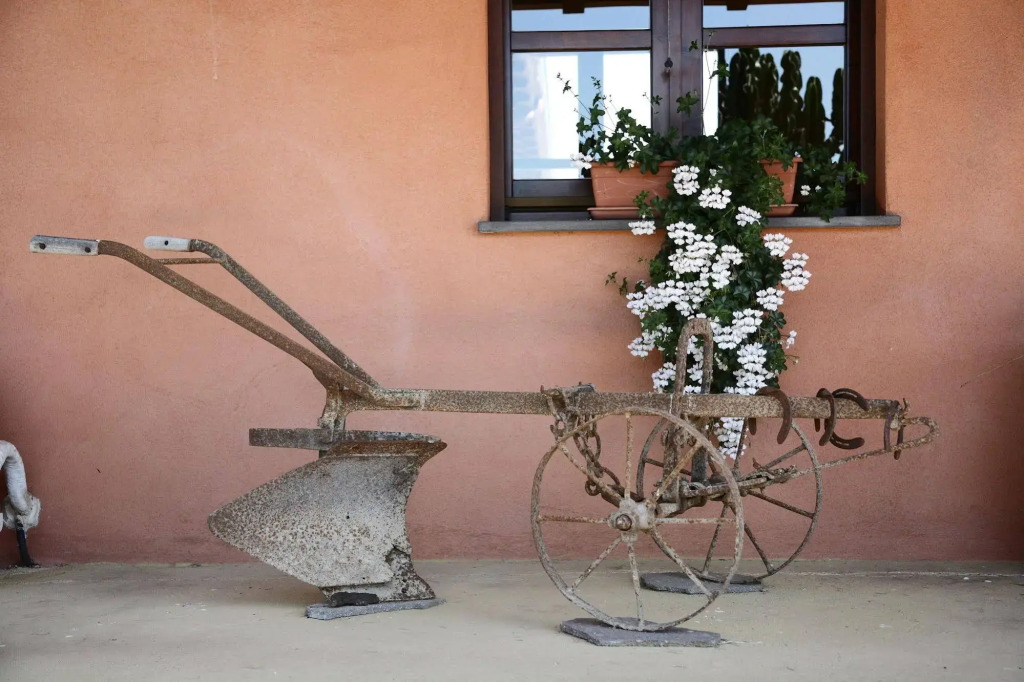 CuccuruAio' B&B