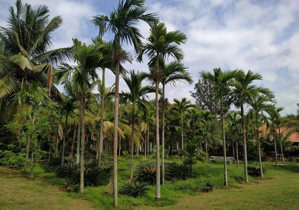 Vana Resorts