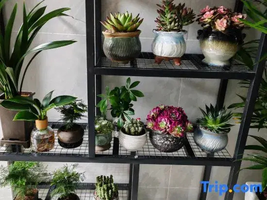 Roman Homestay (Liupanshui)