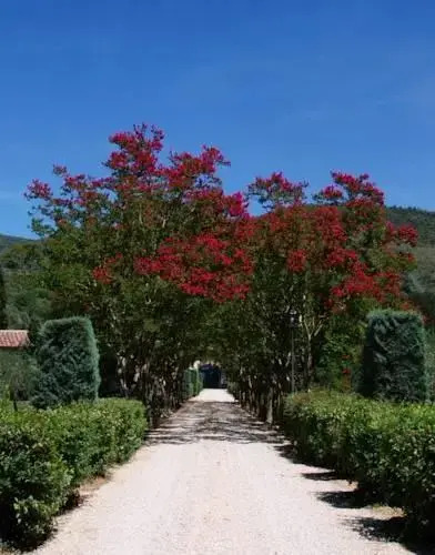 Villa Panphilii