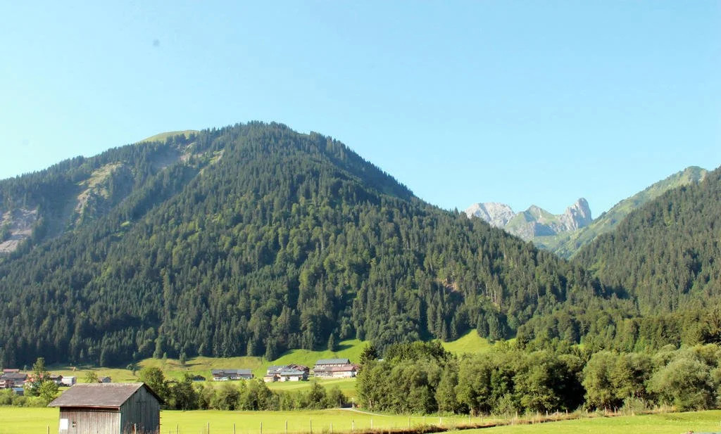 Haus Diedams