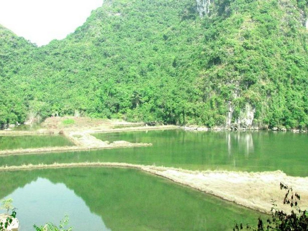 Whisper Nature Bungalow