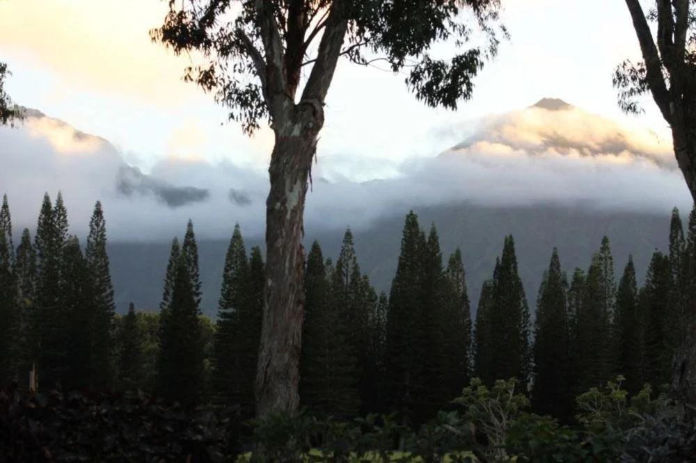 The Plantation at Princeville