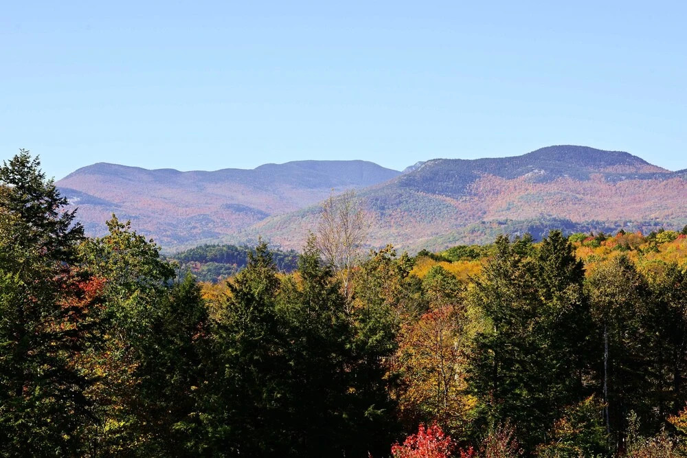 Bartlett Condo w/ Mountain Views Near Ski Resorts!