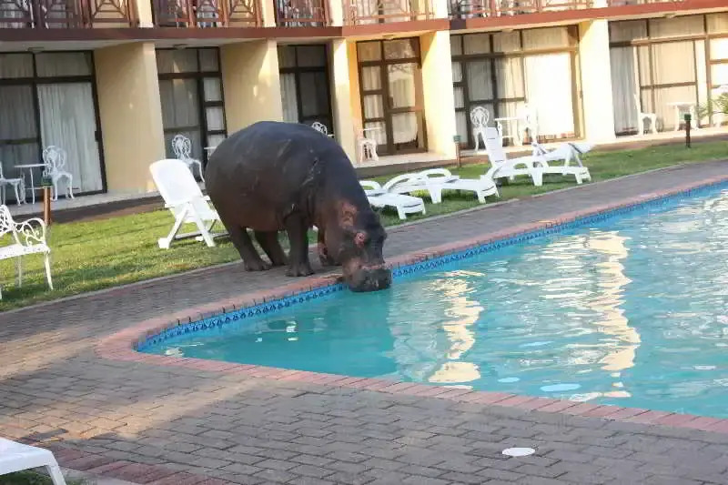 Lake St Lucia Lodge