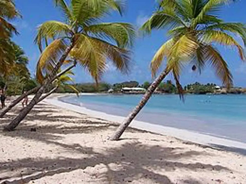 Apartment with One Bedroom in Sainte-Anne, with Shared Pool, Enclosed Garden And Wifi - 4 Km From the Beach