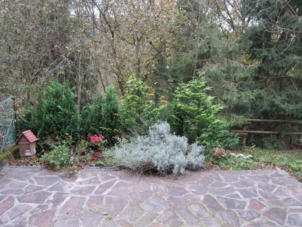 Waldpension Stachl