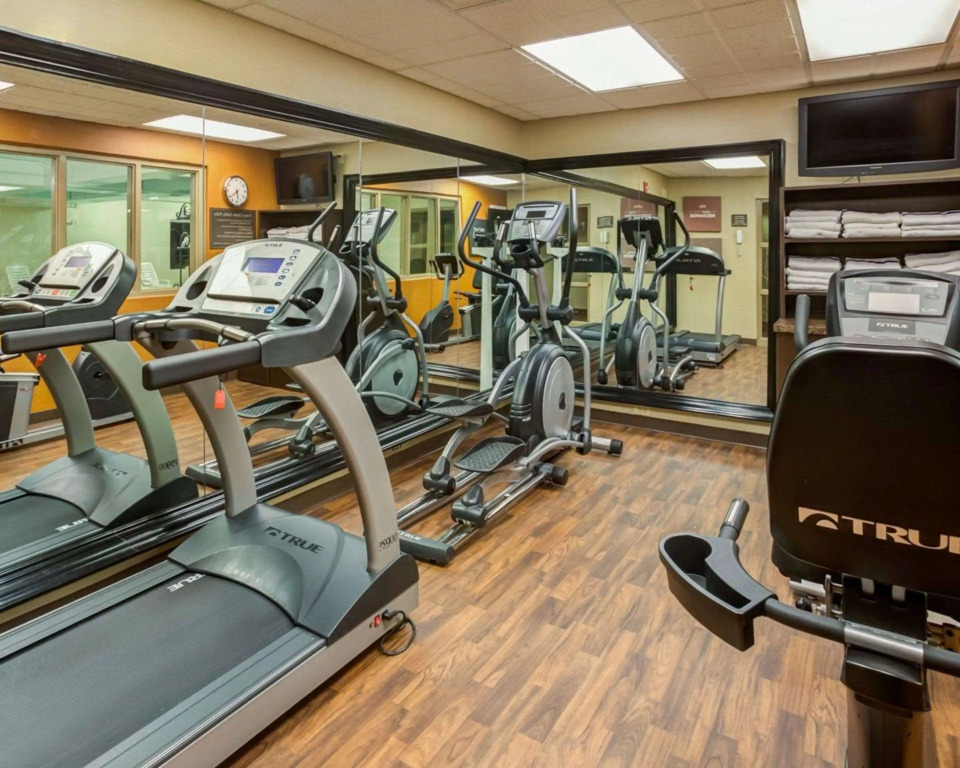 Charlotte Suites
