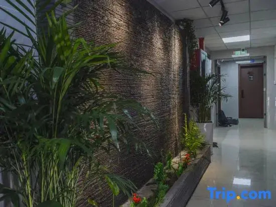 Roman Homestay (Liupanshui)