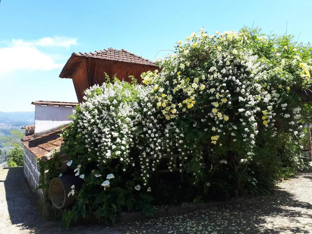 Quinta do Mirante