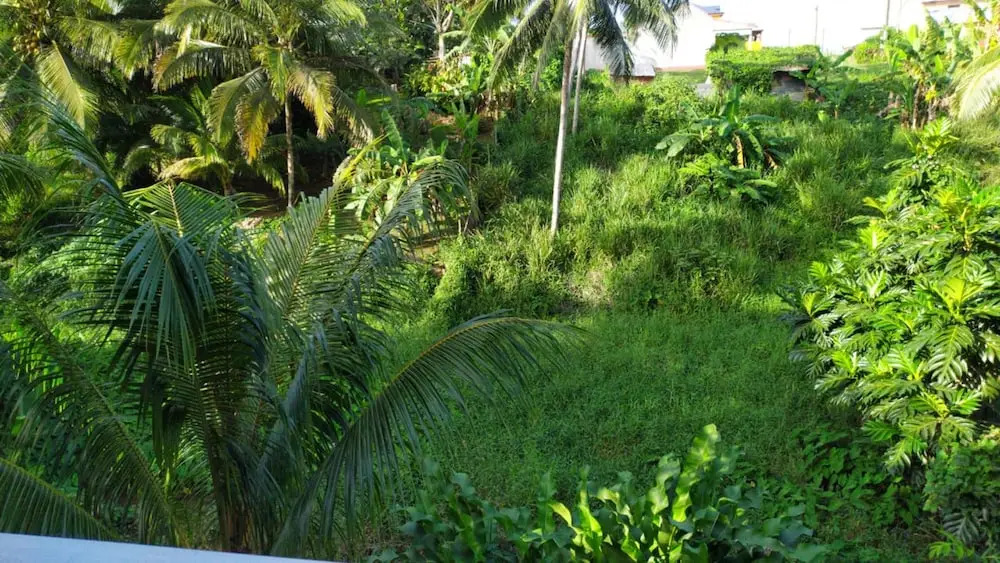 House With 2 Bedrooms In Sainte Rose With Wonderful Mountain View Shared Pool Enclosed Garden