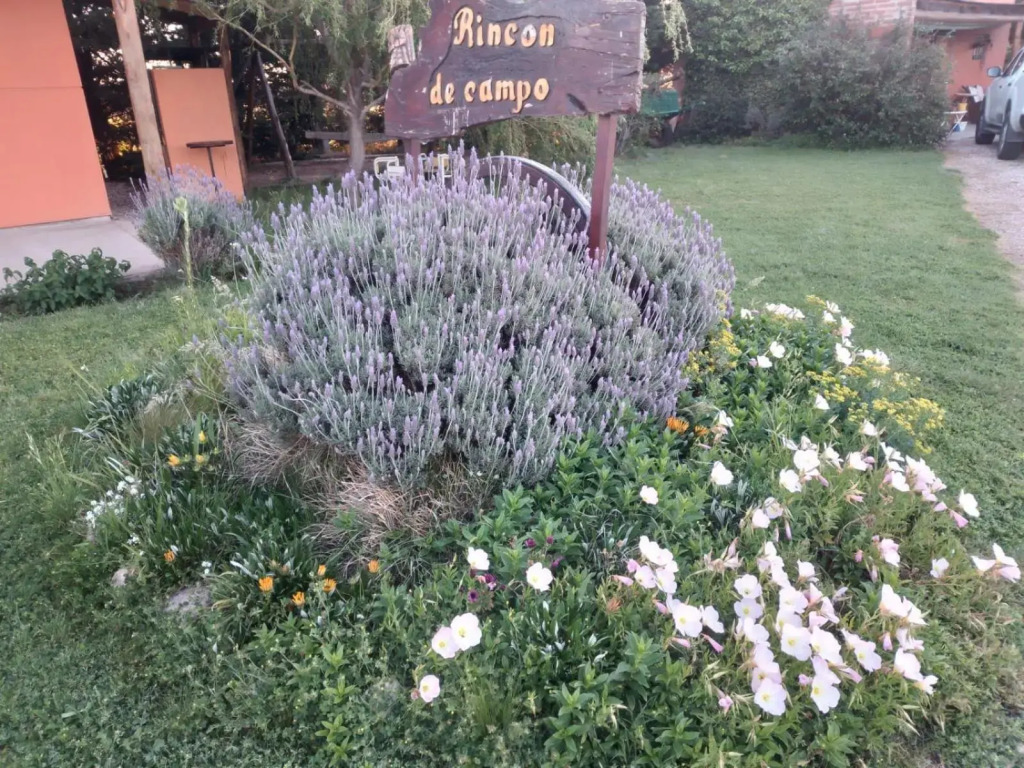 Cabañas Rincon de Campo San Andres De Las Sierras