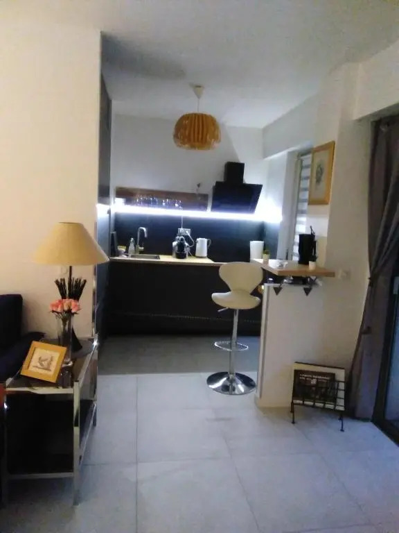 NICE- GAIRAUT - JARDIN PRIVE- GRAND F1 LUMINEUX-Piscine Collective
