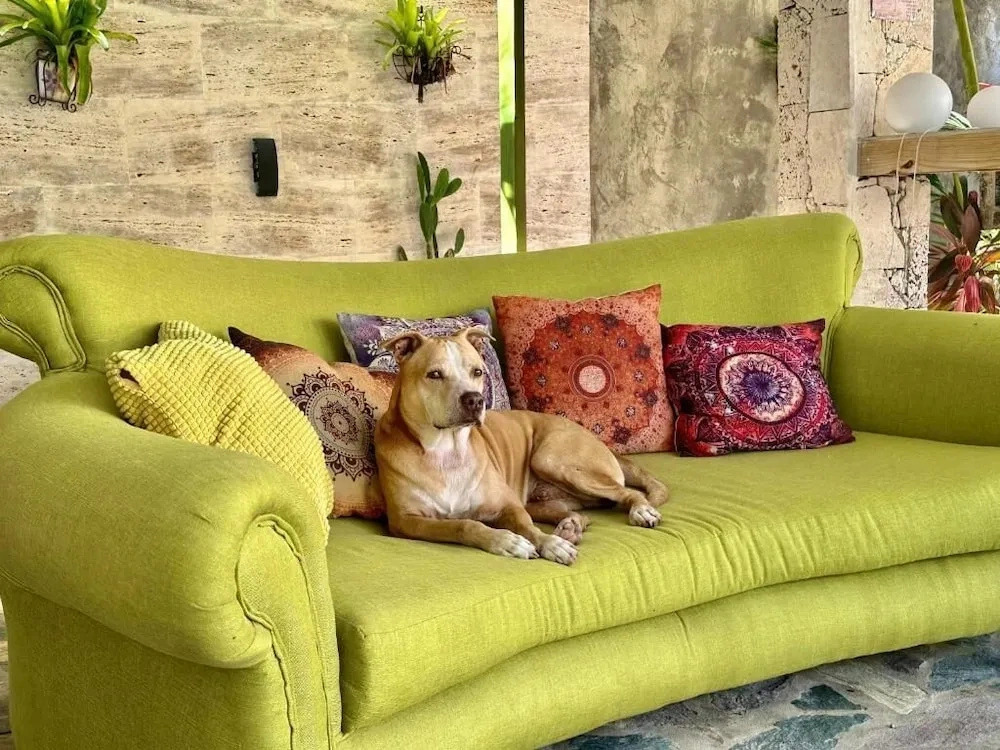 Serene Holiday House Retreat in Cabarete, Dominican Republic