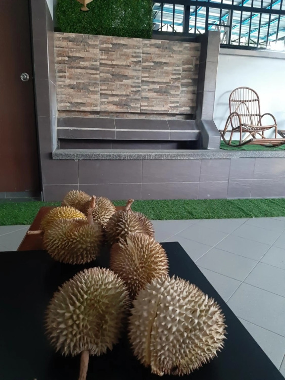 Walasa Kuala Lumpur Homes by Msh