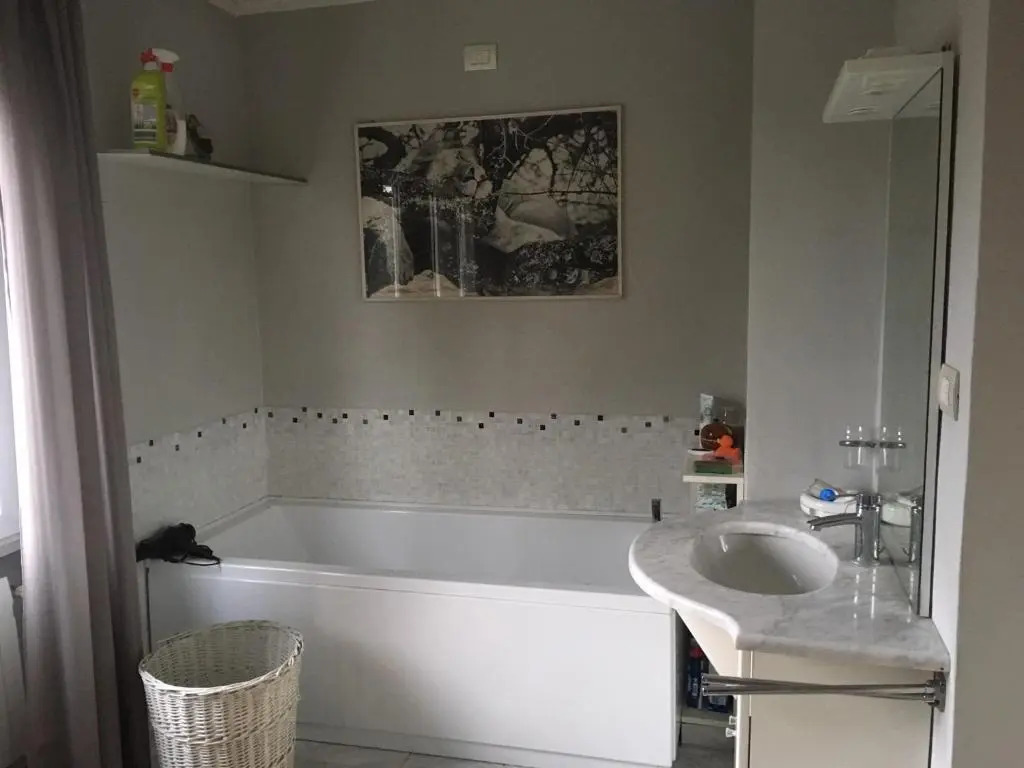 I tulipani flat