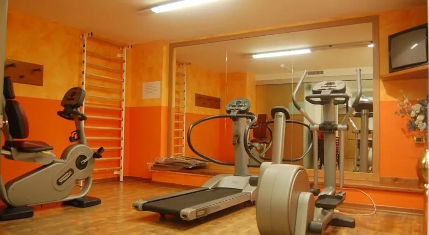 Hotel Alpino