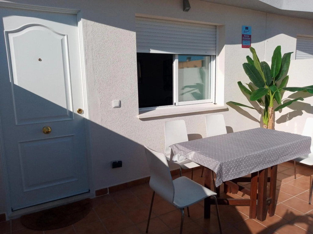 AmaNacer Oliva
