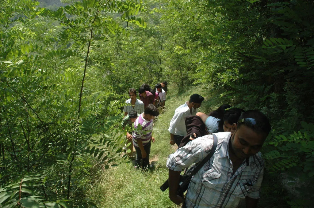 Signature Manaali